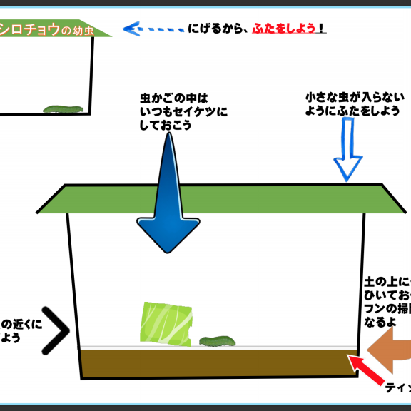 イラスト図鑑 ページ2 雨ふる大地の水辺保全ネットワーク