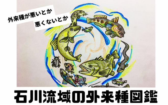 外来種図鑑 公式 石川流域生きものミュージアム 雨ふる大地の水辺保全ネットワーク