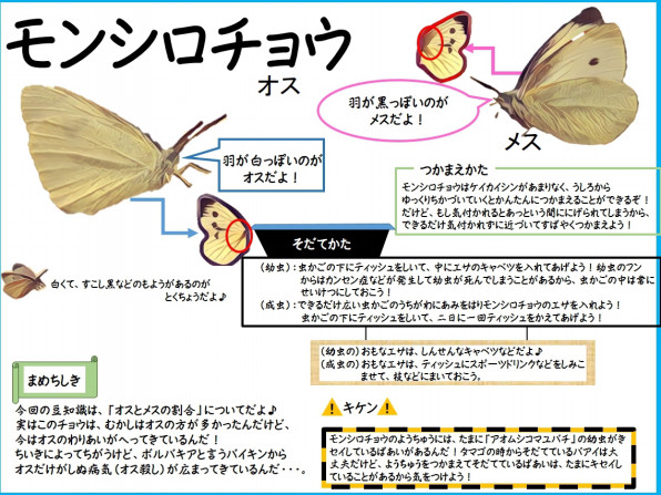 モンシロチョウの幼虫 雨ふる大地の水辺保全ネットワーク