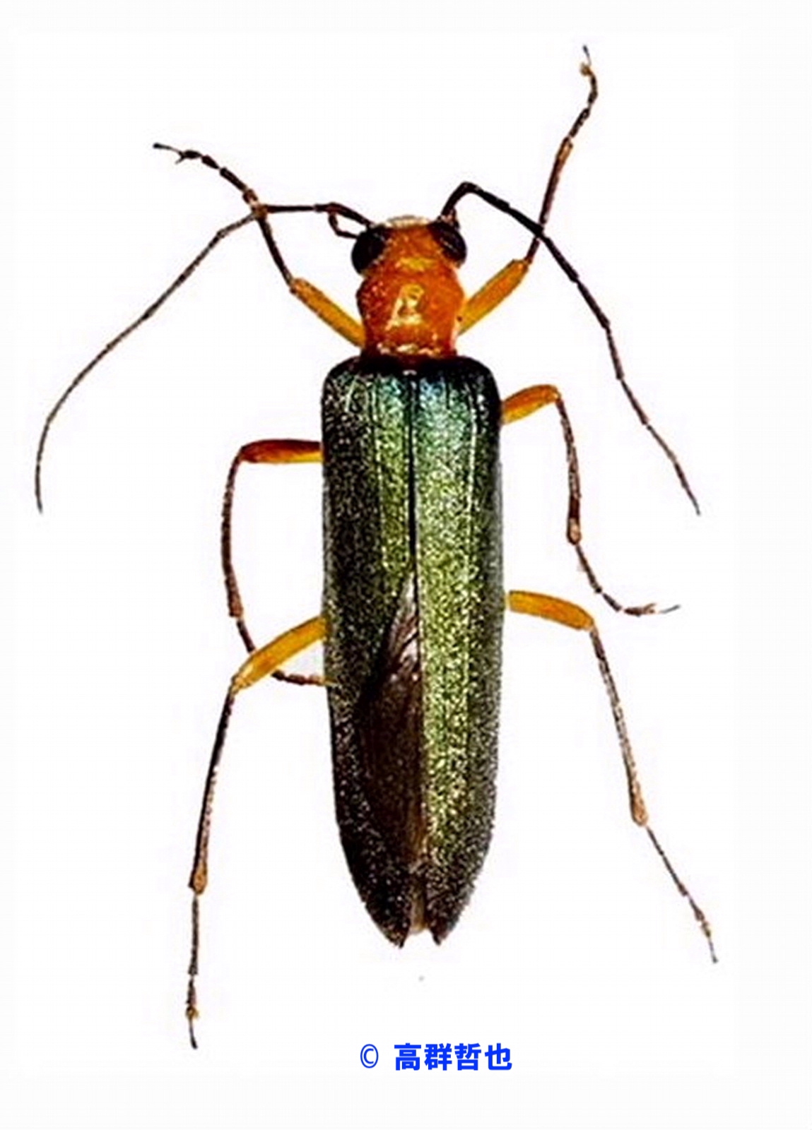 54a3df1b631c63434b9560eaa4e5f7