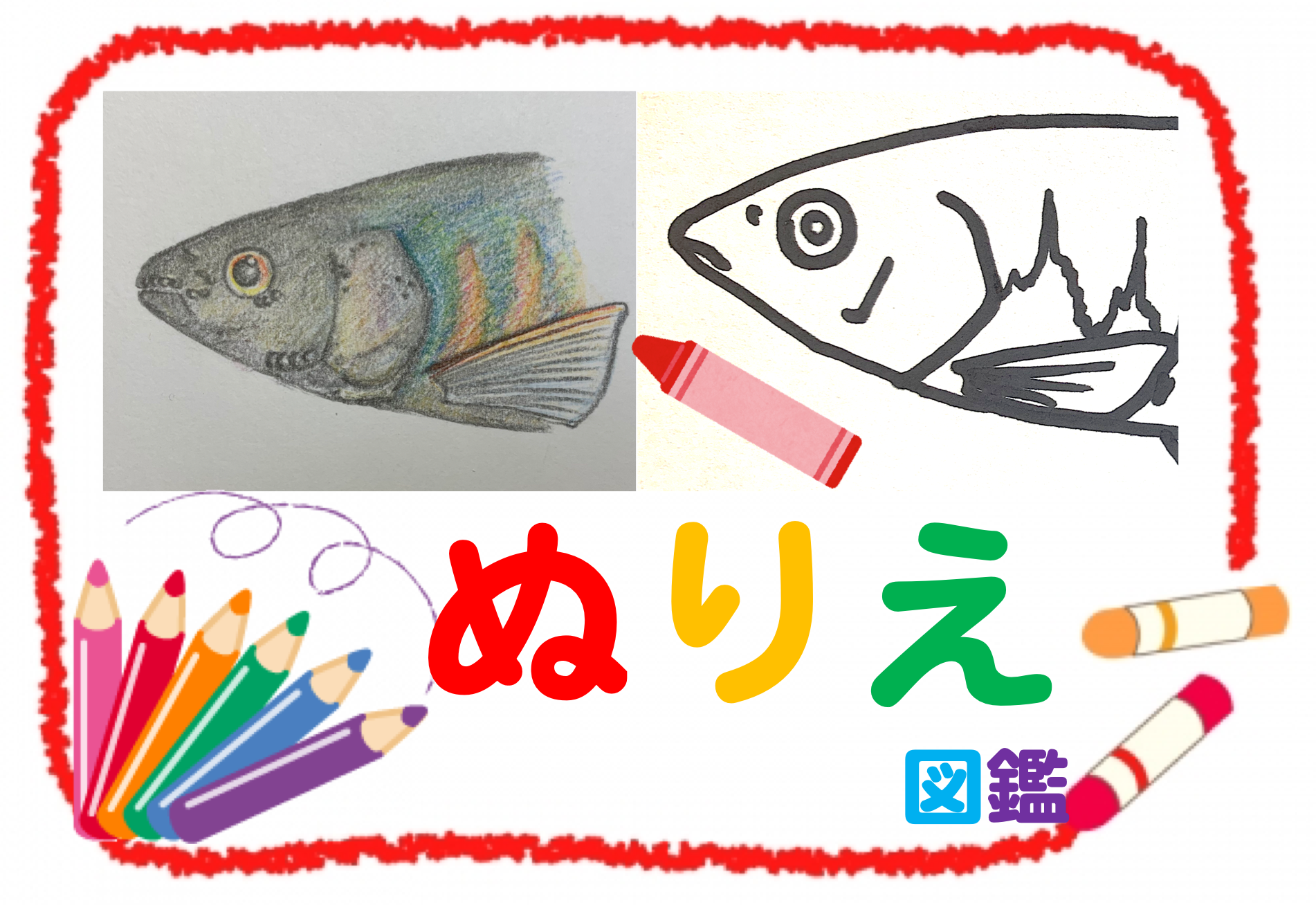 ぬりえ 公式 石川流域生きものミュージアム 雨ふる大地の水辺保全ネットワーク