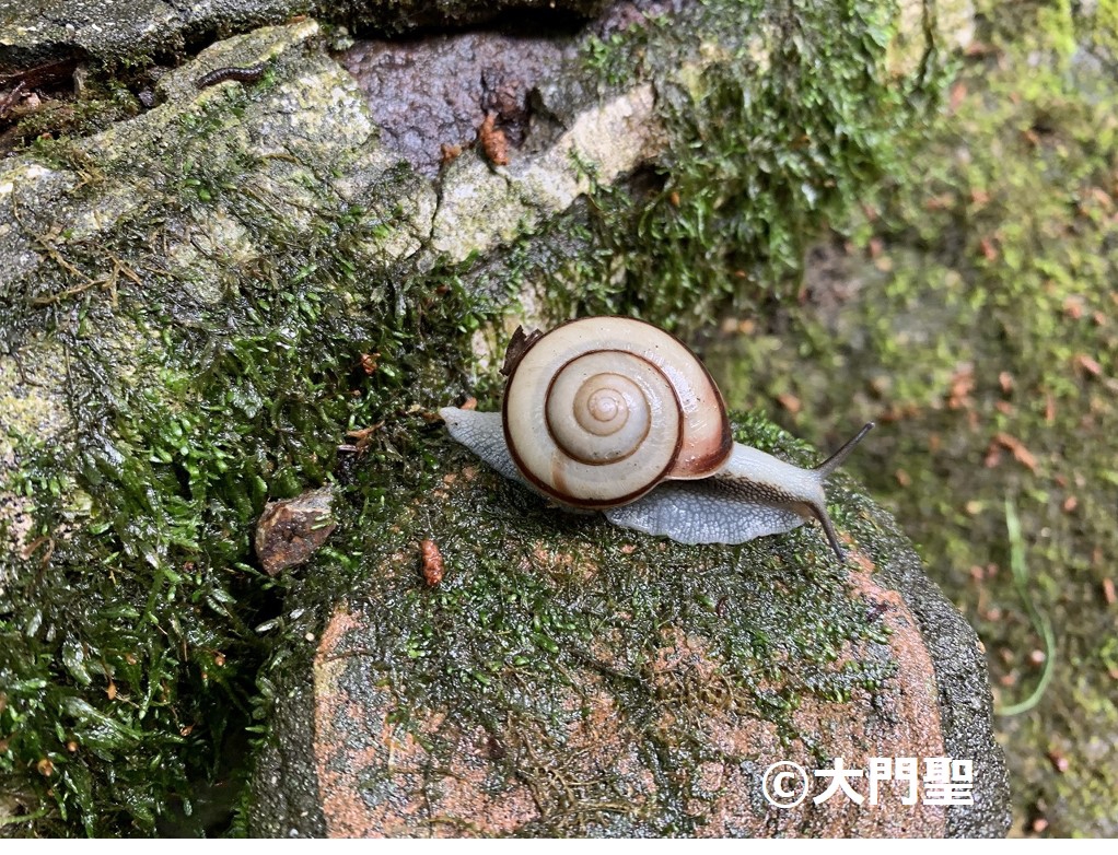 6f8bb875566a9303690320e481e42e