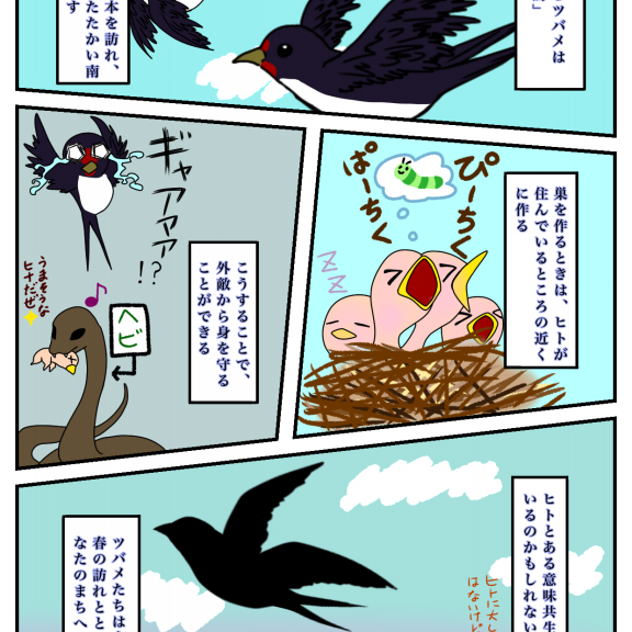 足もとの自然から始めよう 足もとの自然から始めよう / ソベル