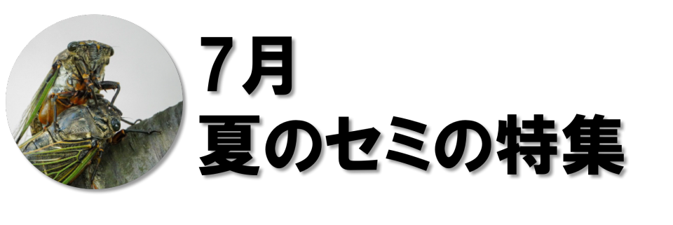 801d4fd53054afbe9707ab9dd0ba74