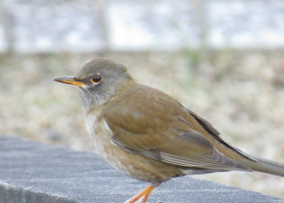 8cacbcd7ff0a6ce20bce21ad2887bc