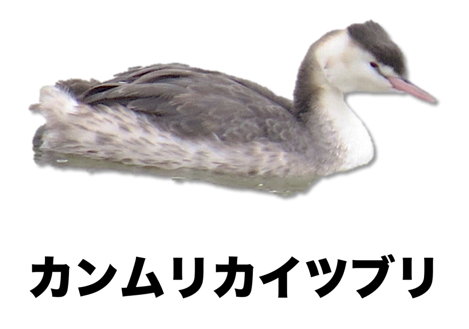 8da41196ab789414d144b75012328c