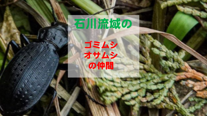 8e93114eac0c1f9bc8a7cd63b0b606