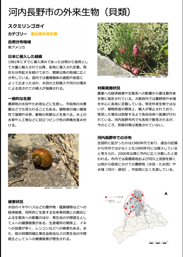 石川上流域の外来生物 公式 石川流域生きものミュージアム 雨ふる大地の水辺保全ネットワーク