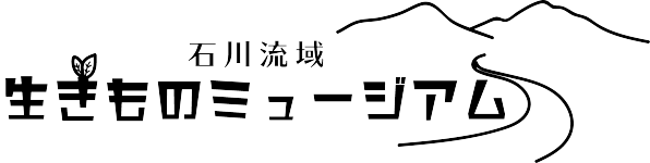 カナブン イラスト 透明イラスト画像 カナブン イラスト 透明イラスト画像