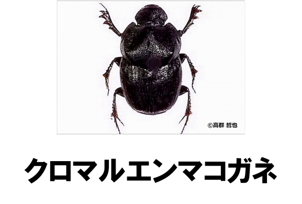 ad12b894ce8c9c7c04046607017eb8