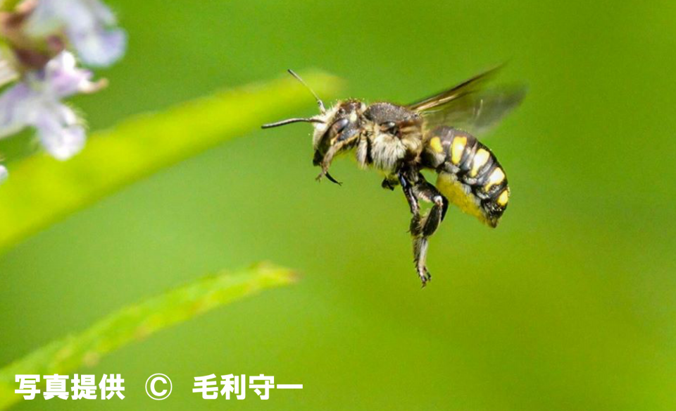 b60e75cce3242b76dd96fc38f2516c