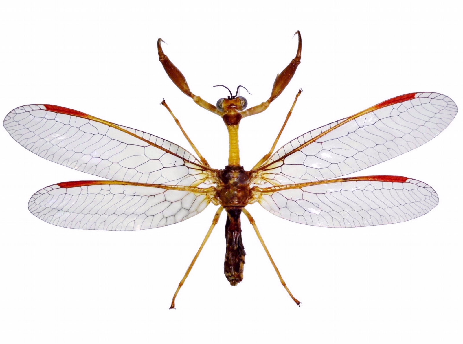 bf202a908c6efc4341c7f1d13d0d57