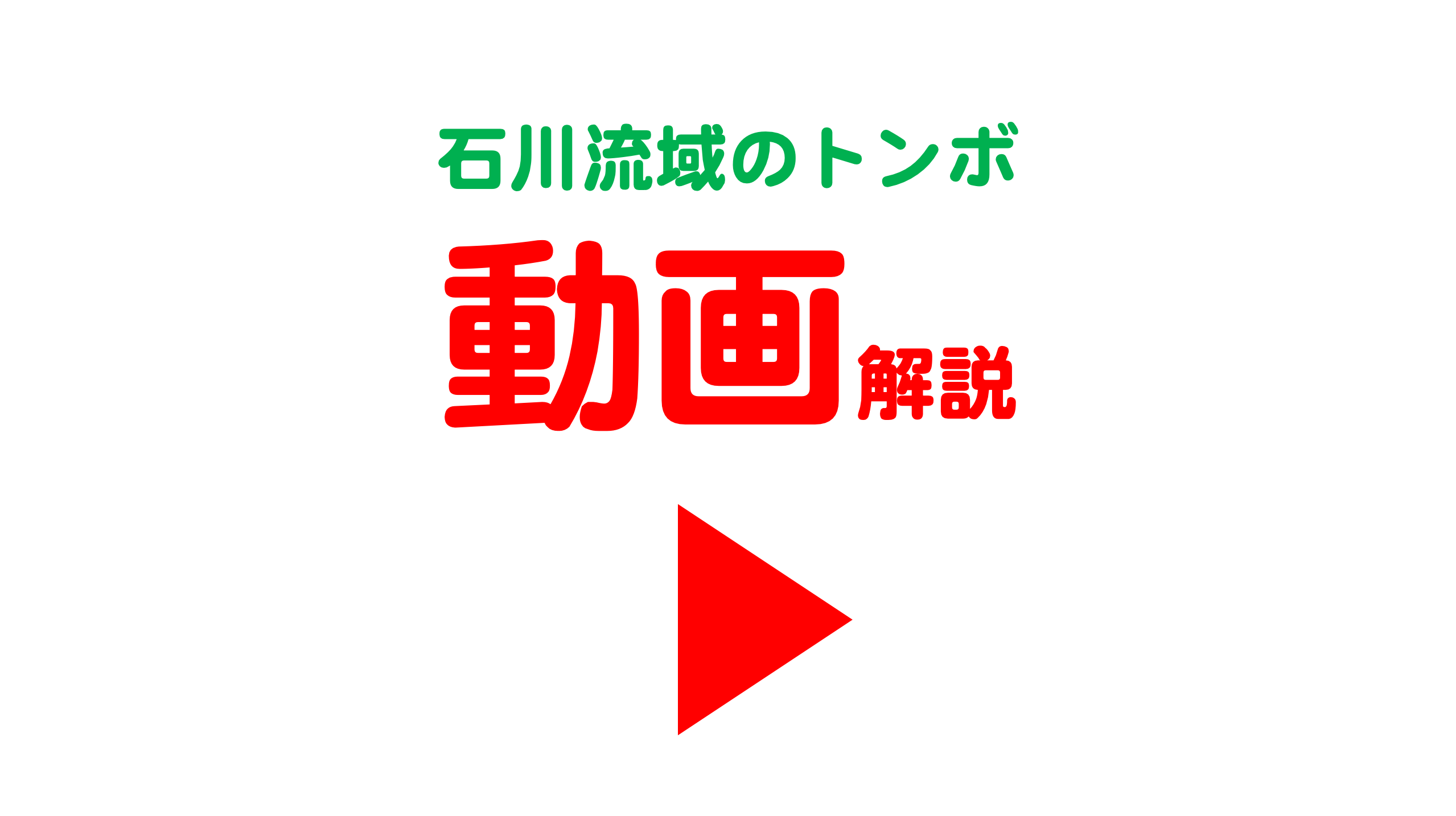 トンボ 動画 公式 石川流域生きものミュージアム 雨ふる大地の水辺保全ネットワーク