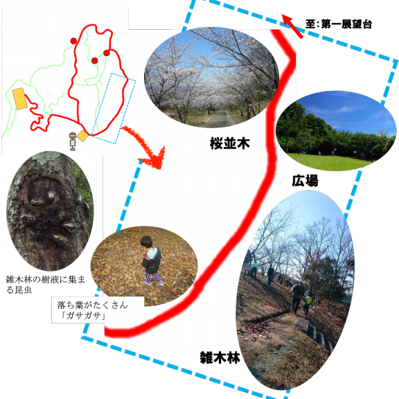 石川流域の自然観察スポット紹介 公式 石川流域生きものミュージアム 雨ふる大地の水辺保全ネットワーク