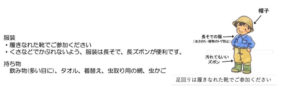 Goto 足もとの森 林 山 公式 石川流域生きものミュージアム 雨ふる大地の水辺保全ネットワーク