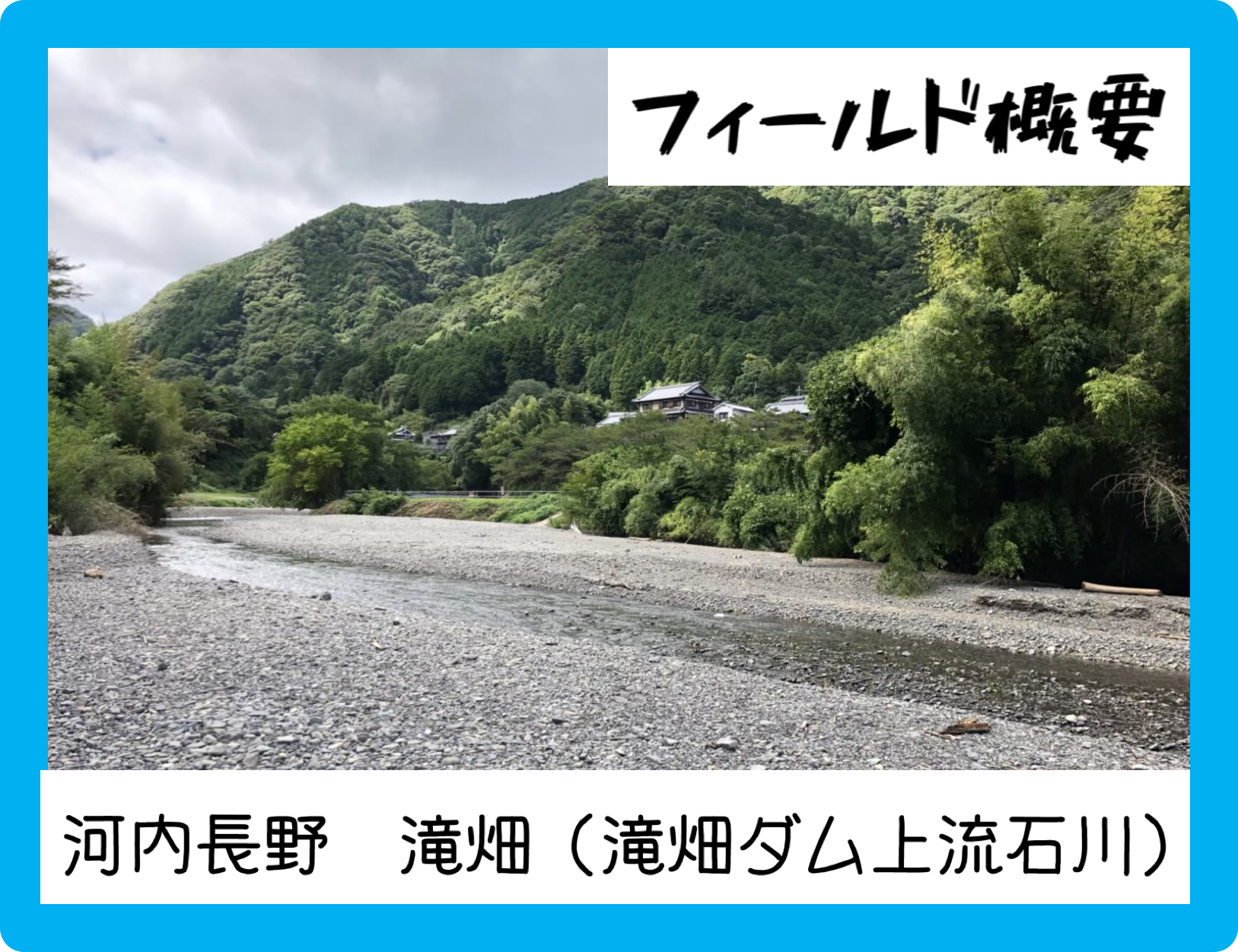 河内長野 滝畑 滝畑ダム上流石川 フィールド解説 雨ふる大地の水辺保全ネットワーク