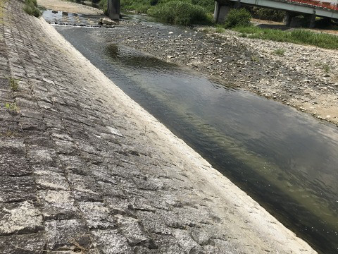川へ入るときの注意点 アプローチ編 公式 石川流域生きものミュージアム 雨ふる大地の水辺保全ネットワーク