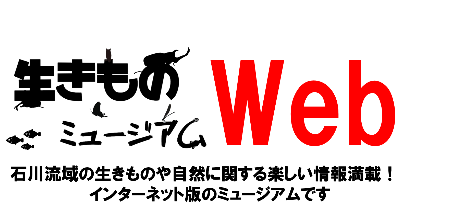 ちびっこ大好きダンゴムシ その２ 左右交互に曲がる習性 公式 石川流域生きものミュージアム 雨ふる大地の水辺保全ネットワーク