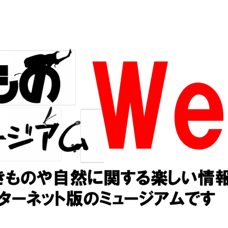 ちびっこ大好きダンゴムシ その２ 左右交互に曲がる習性 公式 石川流域生きものミュージアム 雨ふる大地の水辺保全ネットワーク