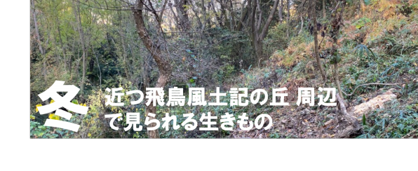 近つ飛鳥風土記の丘生きものガイド 公式 石川流域生きものミュージアム 雨ふる大地の水辺保全ネットワーク