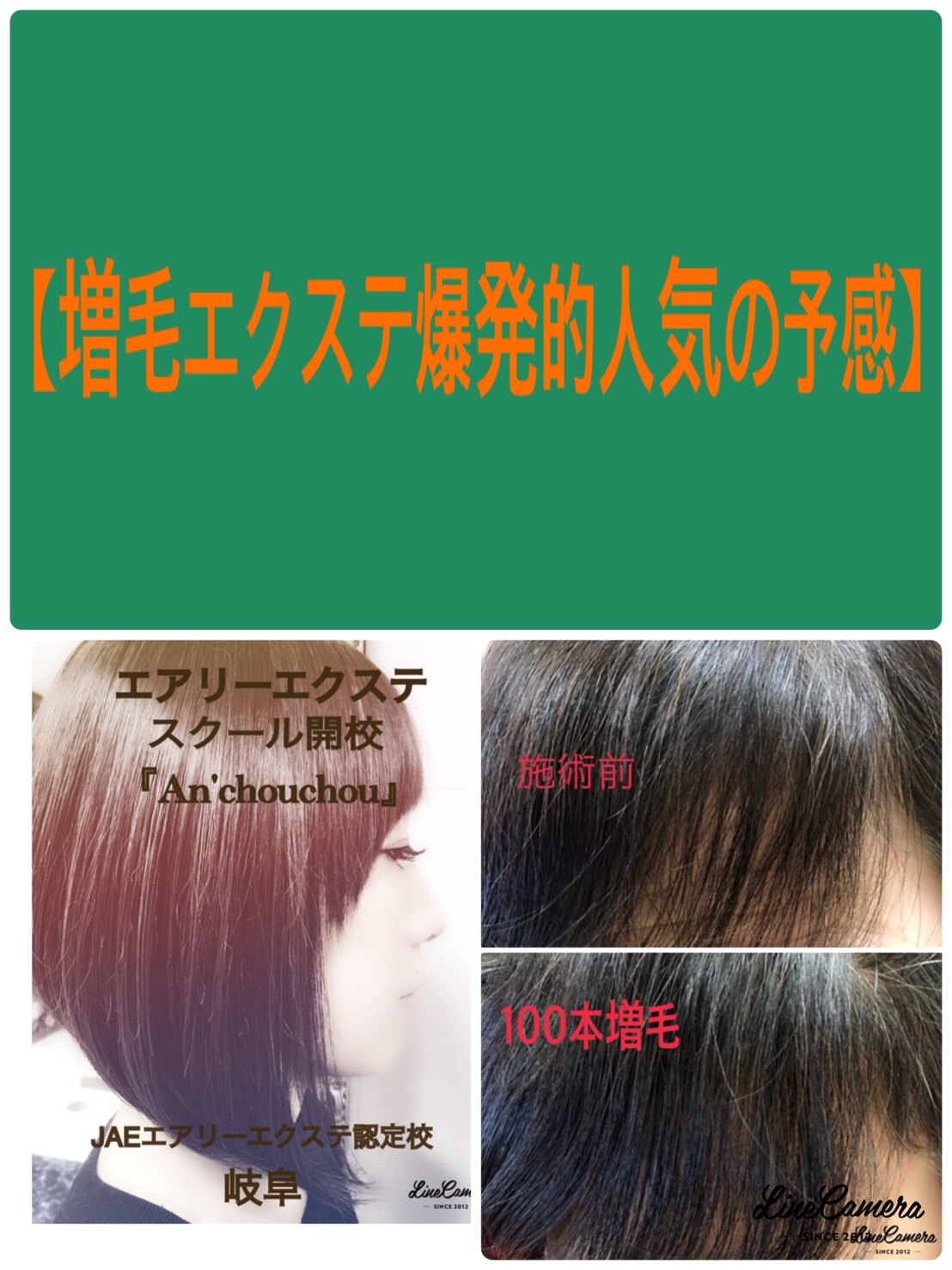 エクステ エアリーループ ヘアループ エクスループ ウィッグ エアエク