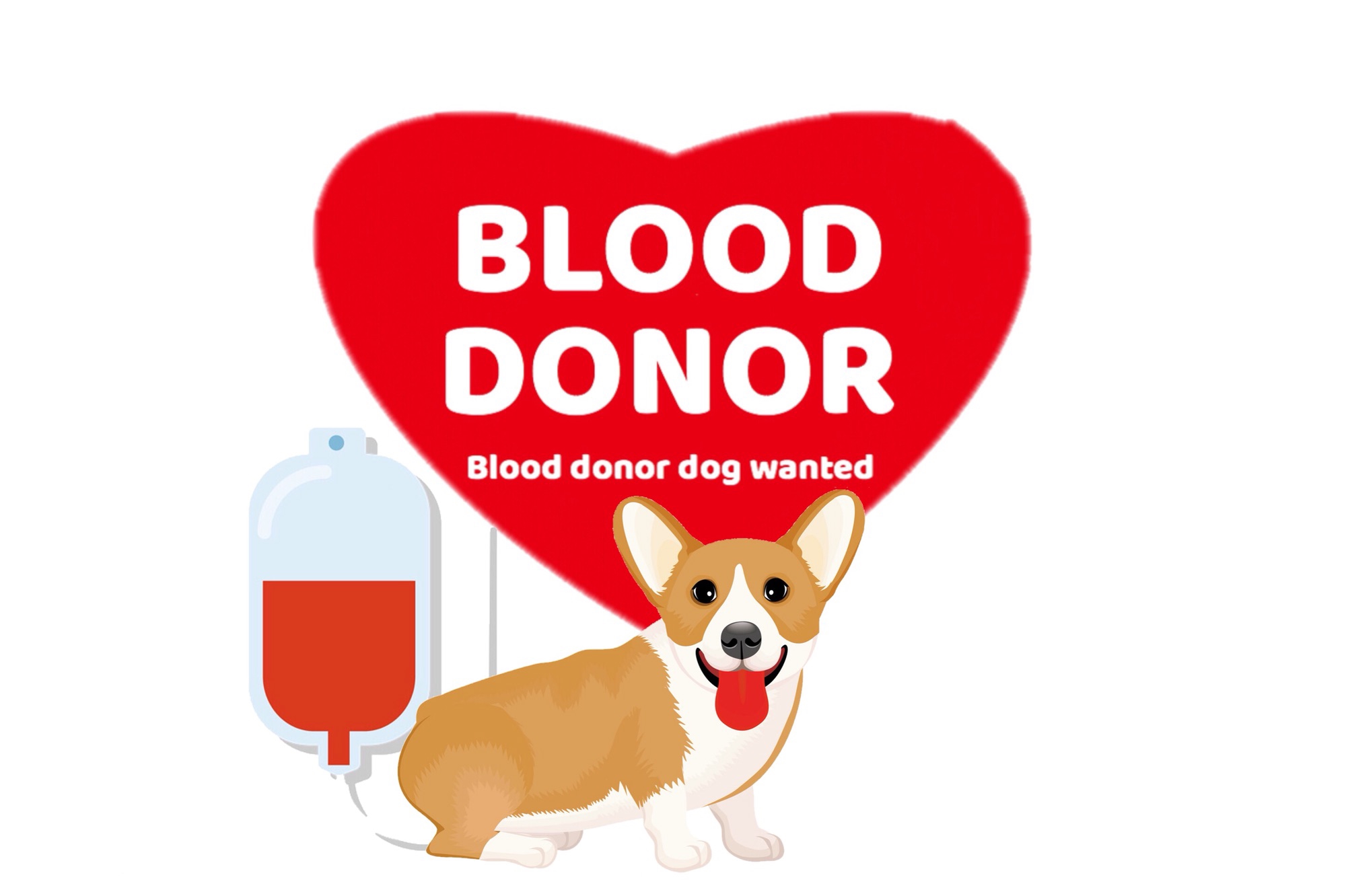 DOG BLOOD DONOR WANTED