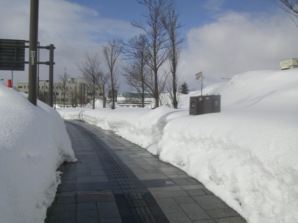 雪 システム 県 山形 情報