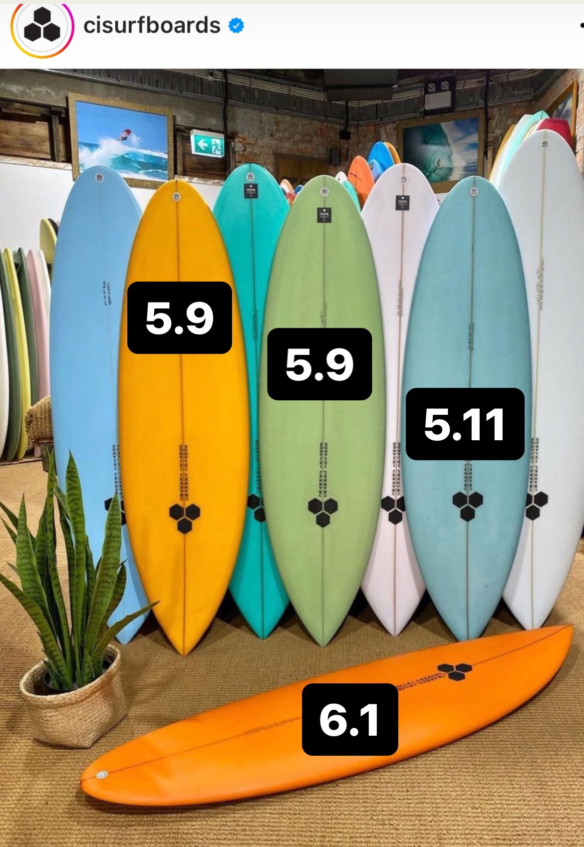 ツインピン5.9 ツインピン5.9