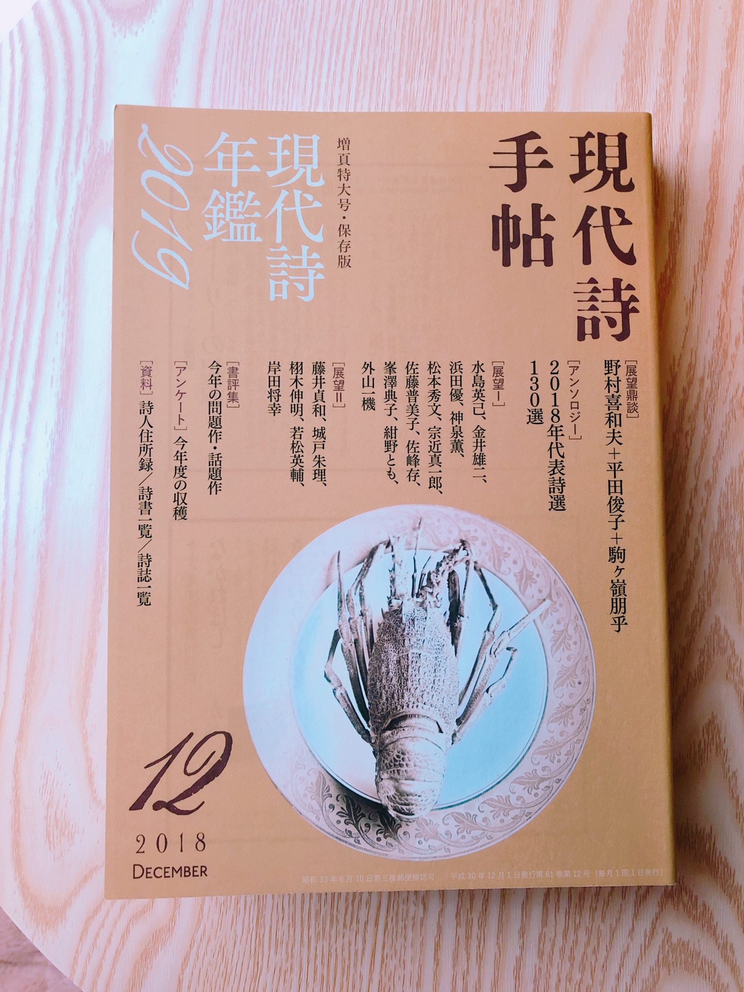 新しいスタイル 飛手の空、透ける街 思潮社 詩集 現代詩｜本・雑誌・漫画 文学・小説