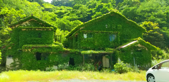 ジブリっぽい風景写真 関東全域 山梨県 静岡県 富士河口湖 甲府 Mac修理 映像専門エムスタジオ