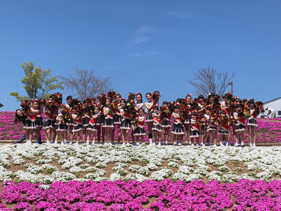 おおた芝桜まつり チアダンスチームblossum