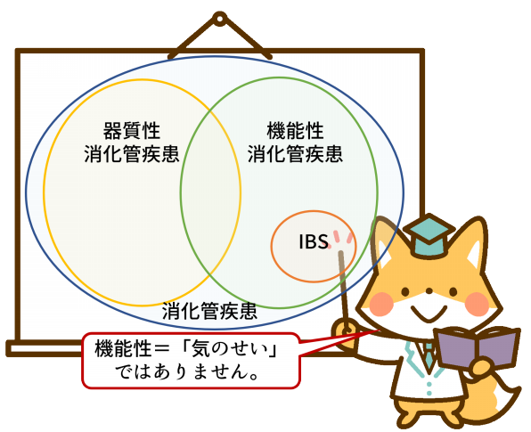 機能性消化管疾患とは 過敏性腸症候群 Ibs スッキリプロジェクト