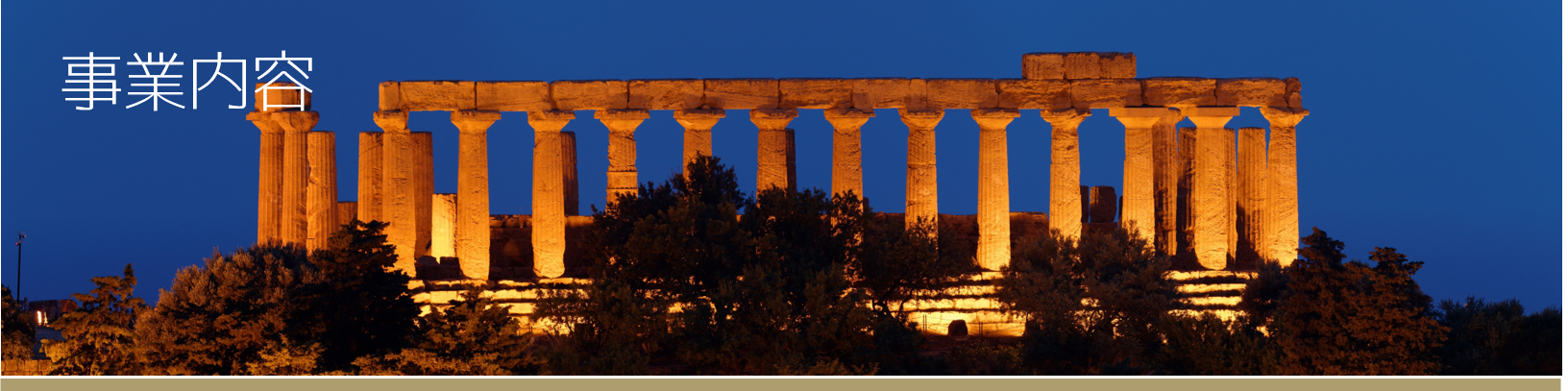 事業内容 株式会社イーアライアンス