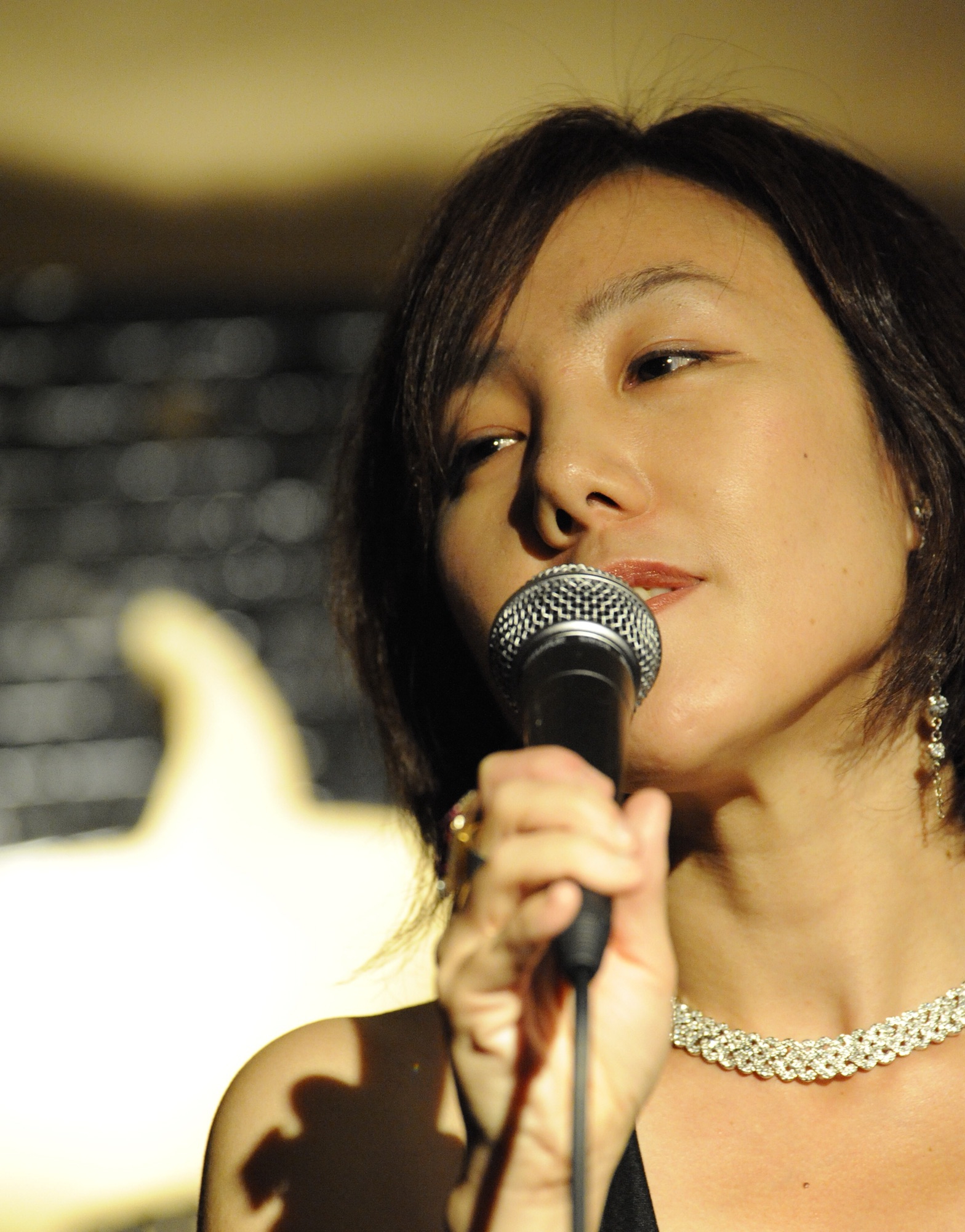 BIOGRAPHY | Jazz Singer AKIKO YUKI Official Website