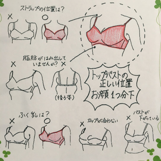 ブラジャーの選び方で うしろ姿が綺麗に いつまでも美しく健康で 楽しく プロポーションクリエーター リップ