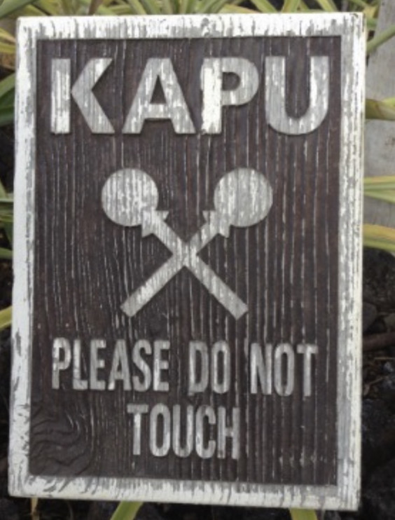 セルフ ホオポノポノ 怒りの感情 Koko Momi Kawauchi Johnson