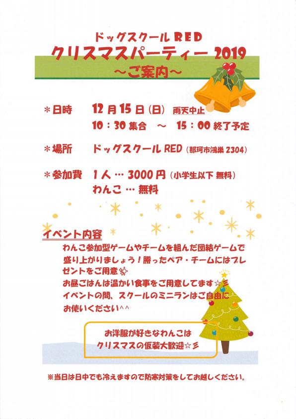 クリスマスパーティー19 ドッグスクール レッド 茨城県那珂市 犬のしつけ ようちえん シャンプー ホテル クリスマスパーティー19 ドッグスクール レッド 茨城県那珂市 犬のしつけ ようちえん シャンプー ホテル