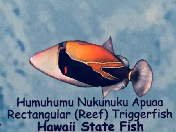 オアフ島 ダイビングマップ Hawaii O S Life