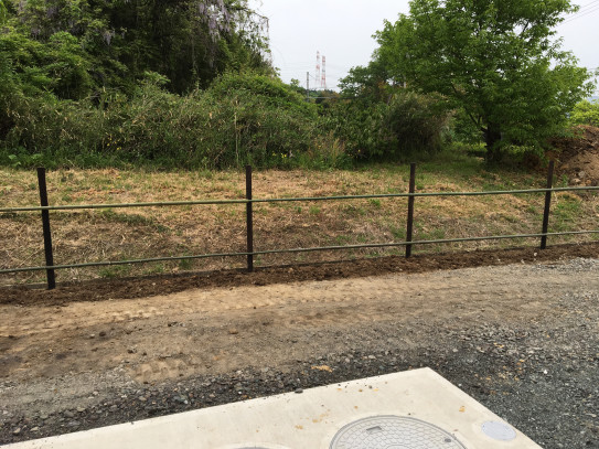 昔ながらのマキの生垣 上田秀芳園
