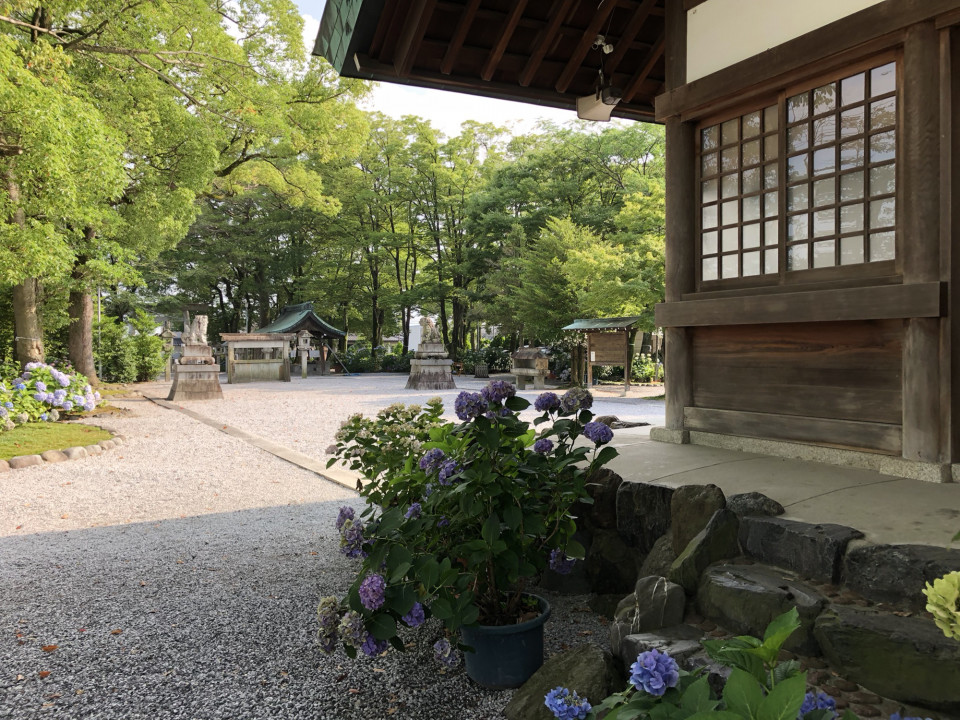 神社とクロアゲハ Luce