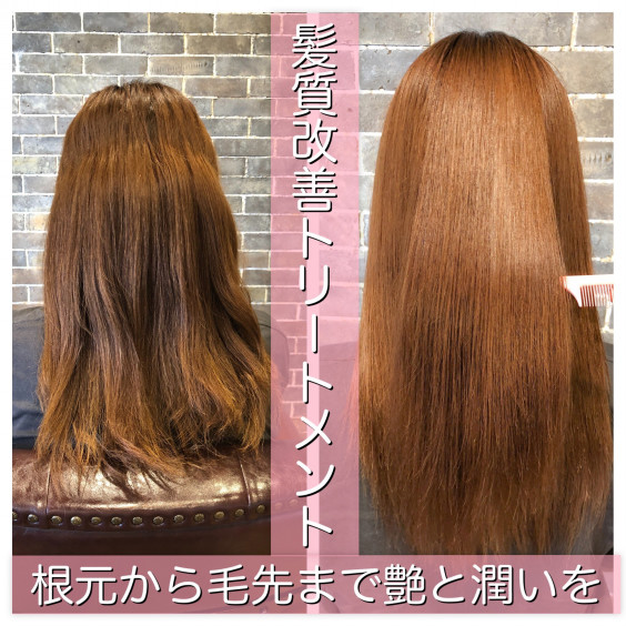 根元から毛先まで艶と潤いを 髪質改善ロイヤルトリートメント 女性美容師の活躍応援 髪質改善と縮毛 矯正の特化ヘアケアサロン Natural ナチュラル 郡山店 三浦一宏 根元から毛先まで艶と潤いを 髪質改善ロイヤルトリートメント 女性美容師の活躍応援 髪質改善と縮毛 矯正の特化ヘアケアサロン Natural ナチュラル 郡山店 三浦一宏