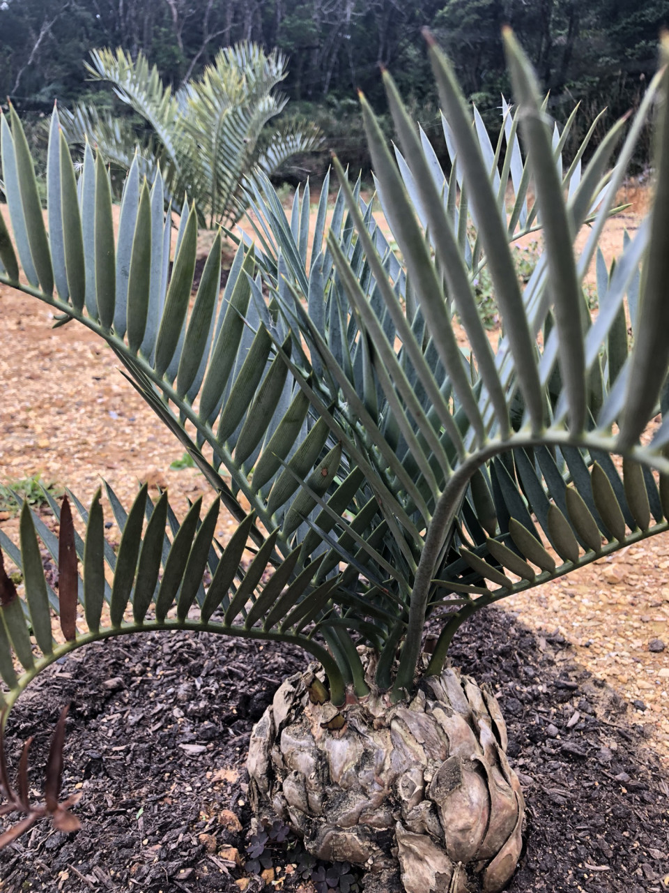 3aeea2b877d3784ecf6ec715698fb6  