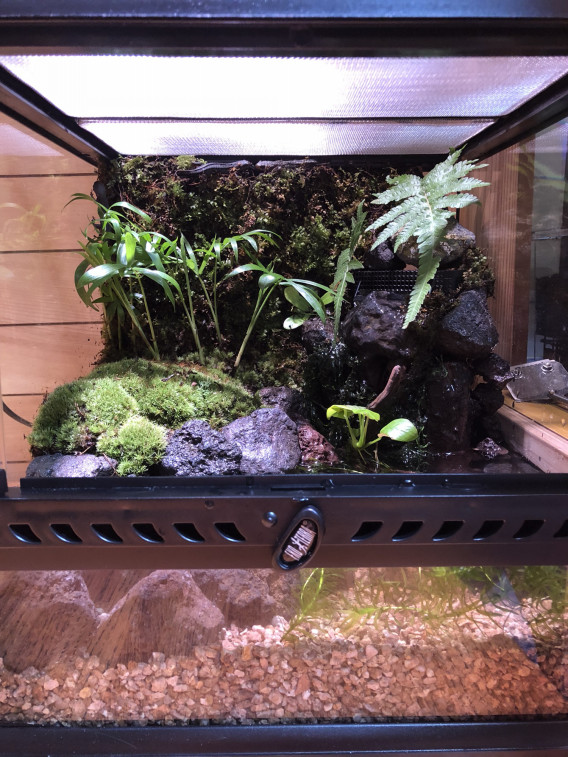 しくってぃむ かてぃんかい 琉龍