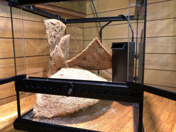 しくってぃむ かてぃんかい 琉龍