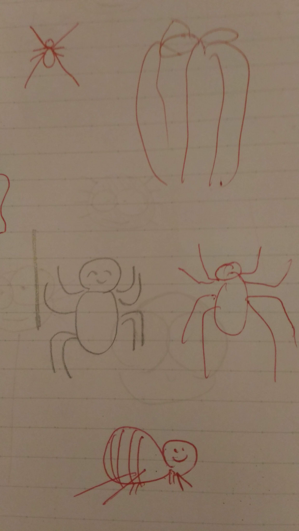 動物の島 Hd限定イラスト 蜘蛛の糸 ポップ