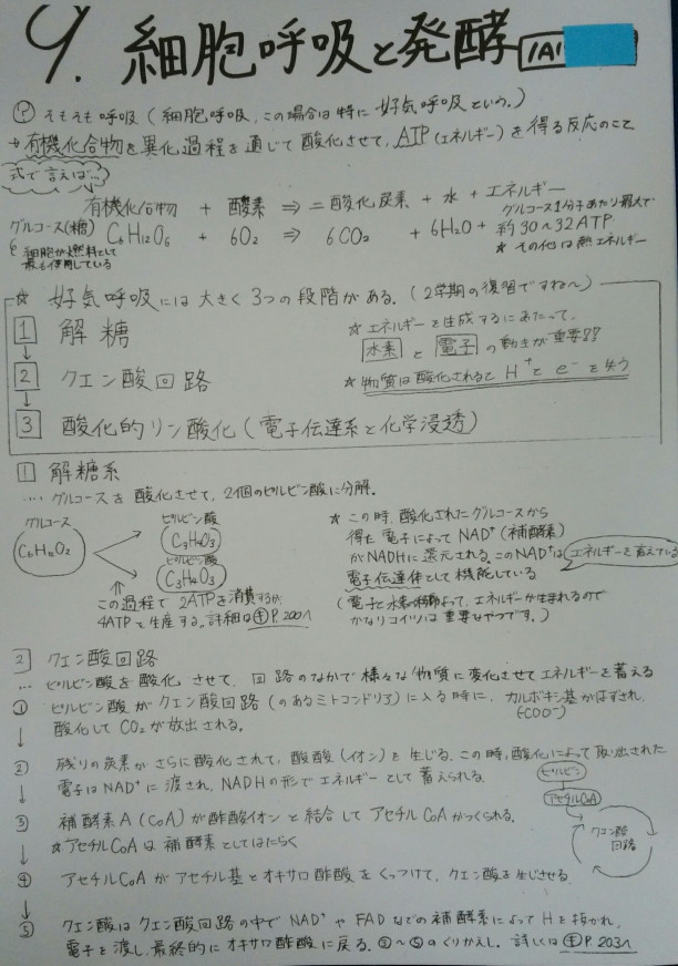 キャンベル生物09 細胞呼吸と発酵 Biology Study Group For Students And Teachers キャンベル生物09 細胞呼吸と発酵 Biology Study Group For Students And Teachers