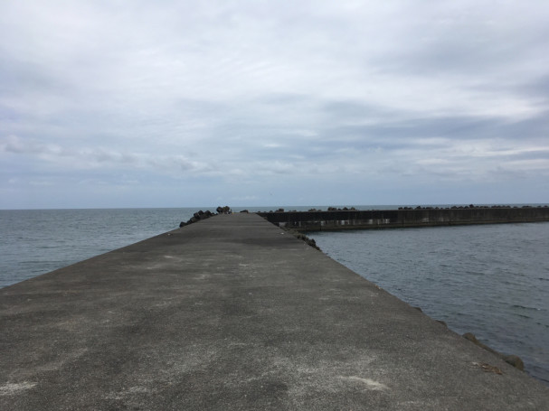 釣行記 白老の鯖 Enjoy My Senior Life