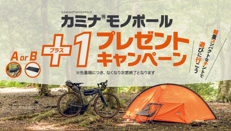 ファイントラック 軽量コンパクトな山岳テント カミナモノポール 9/30