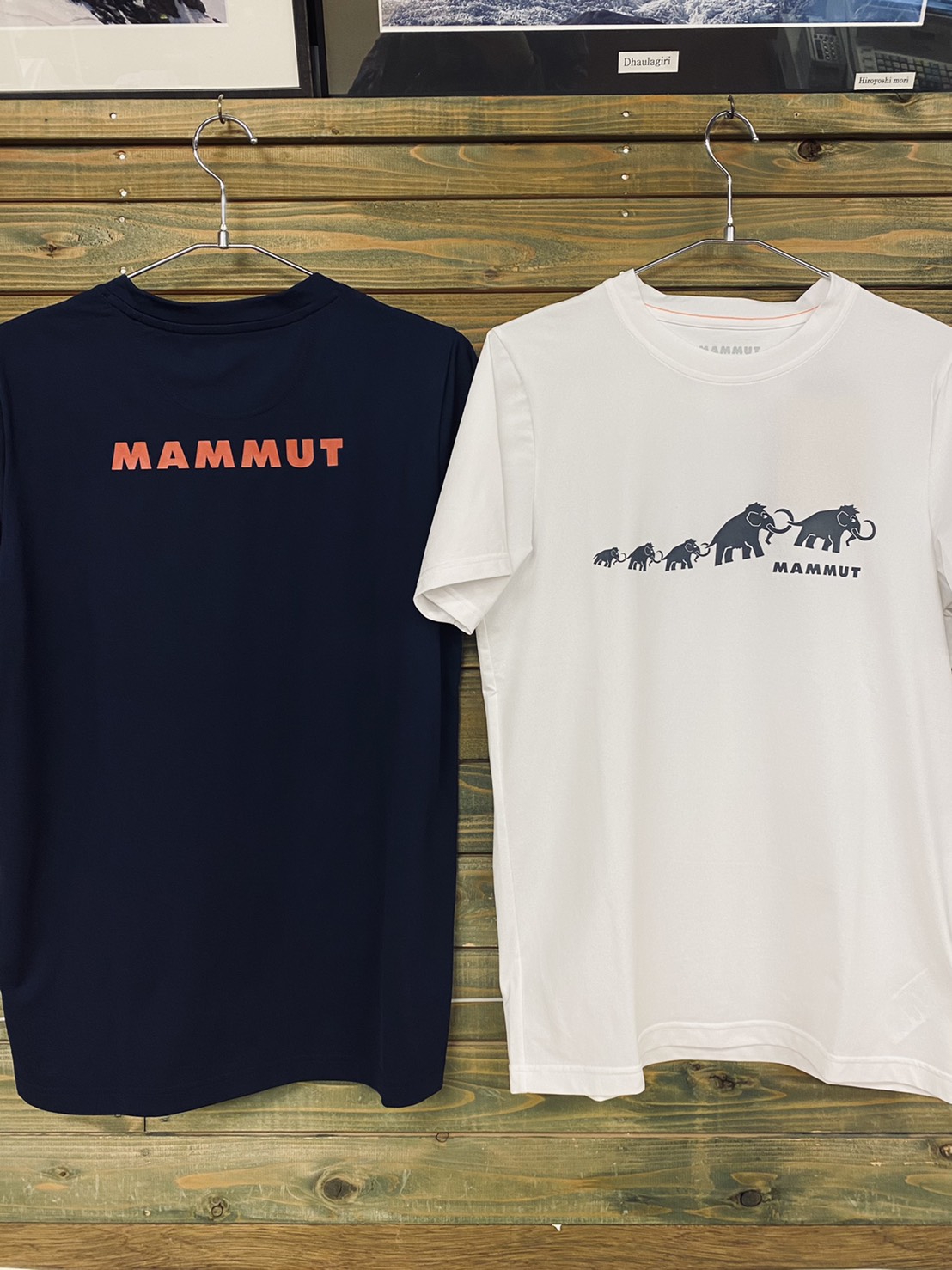 マムートMAMMUT レディースTシャツ L - 登山用品