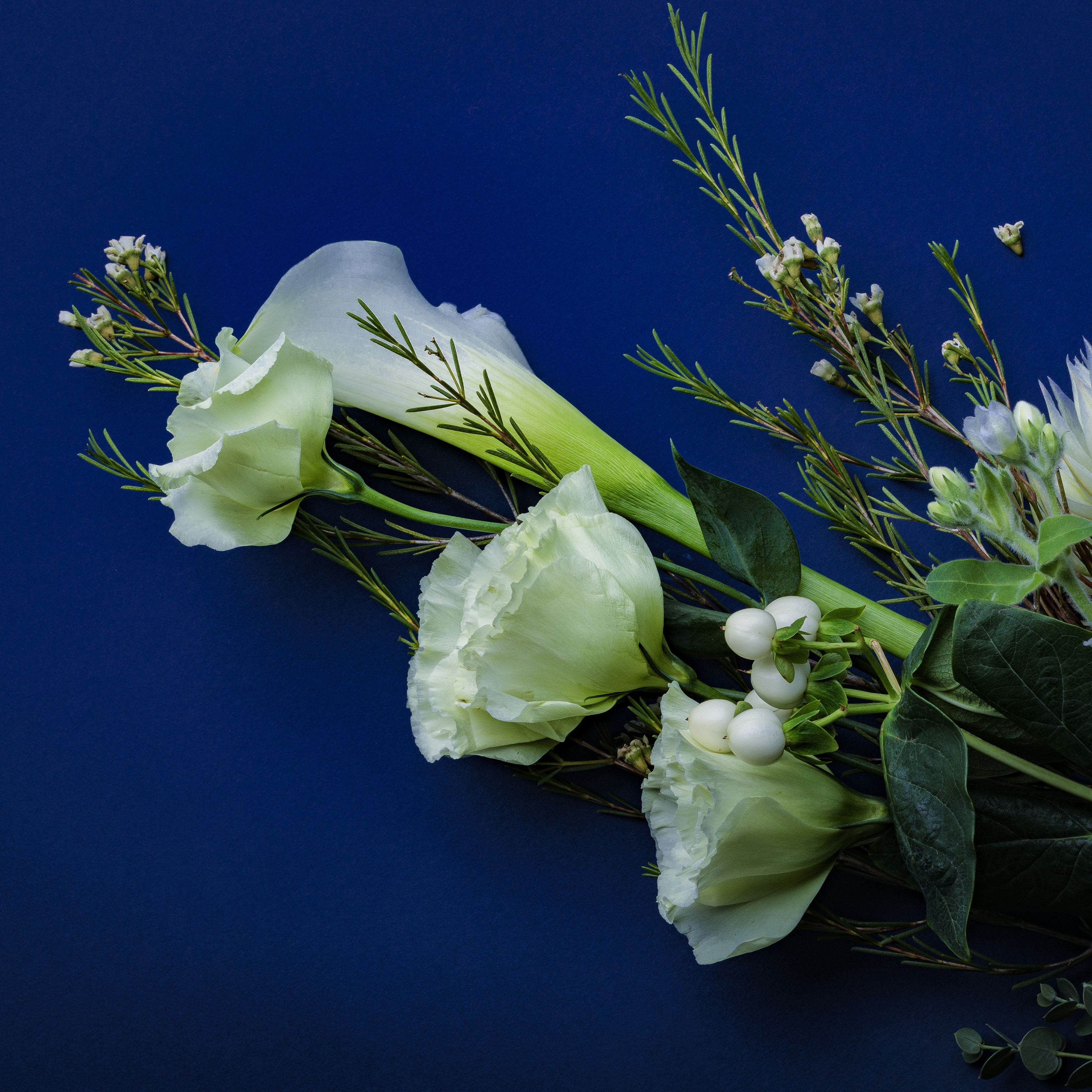 DISCOGRAPHY | 九龍 - KOWLOON